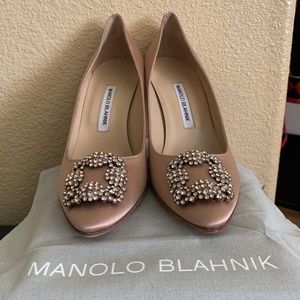 Manolo Blahnik Hangisi Pointed Toe Pump